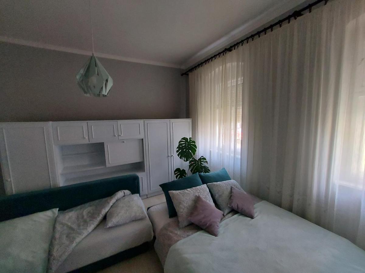 Cozy apartment in Kikinda Buitenkant foto
